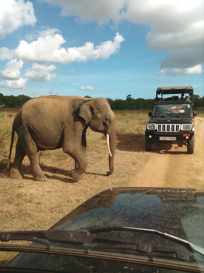 Nature Lovers Safari Resort Uda Walawe Extérieur photo